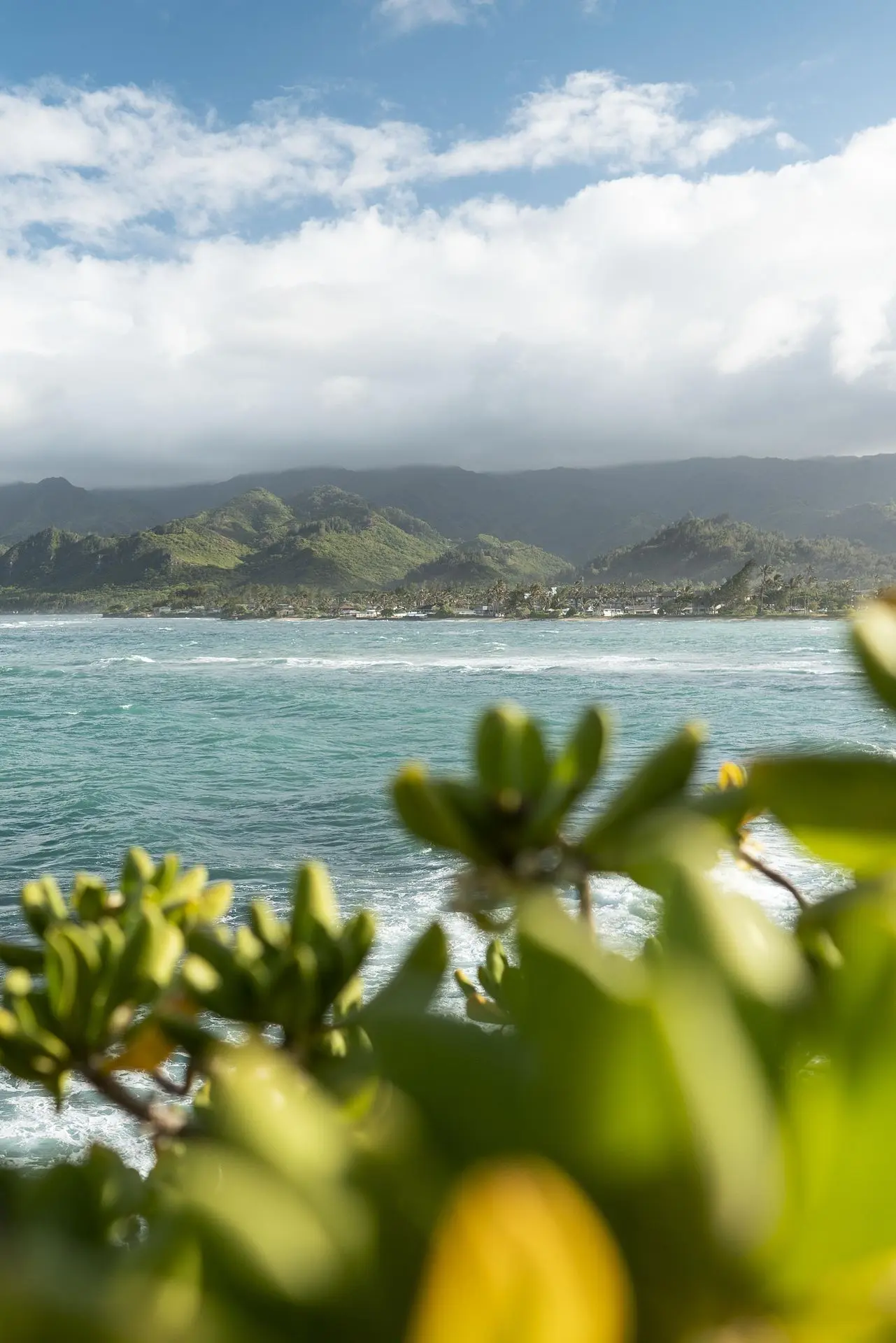 la réunion